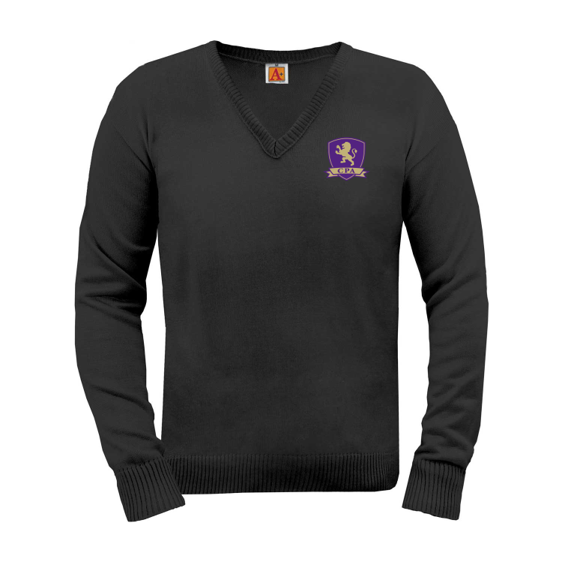 CPA pullover sweater