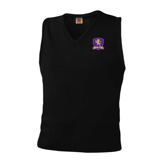 CPA sweater vest
