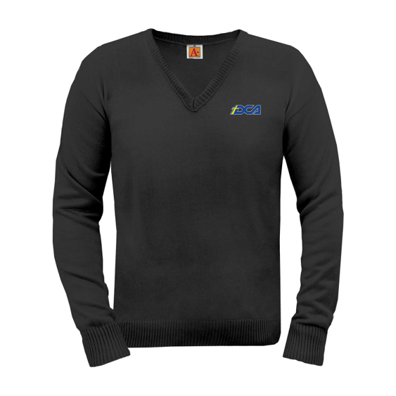 DCA pullover sweater