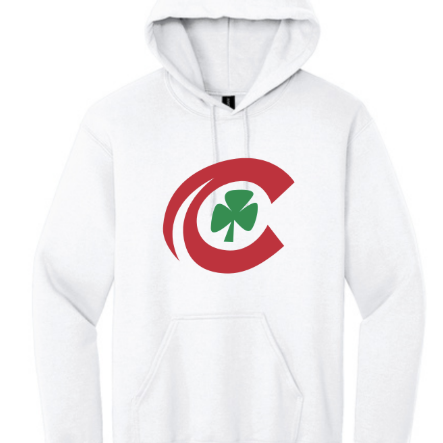 Heavy Blend Hooded Sweatshirt