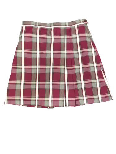 TCA plaid skirt